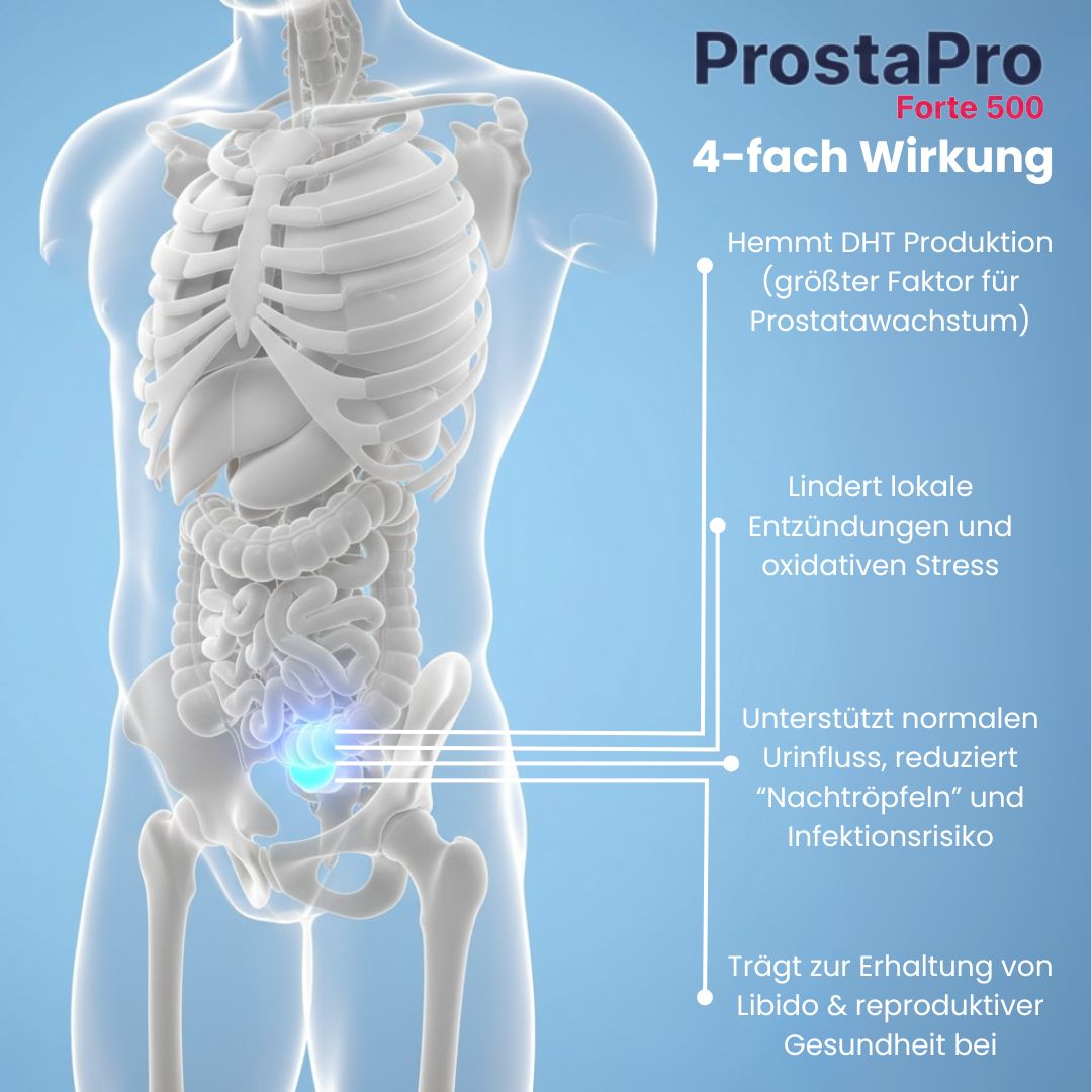 ProstaPro Forte 500